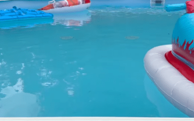 The Complete Guide to Above-Ground Pool Installation in Macon, GA: What Homeowners Need to Know
